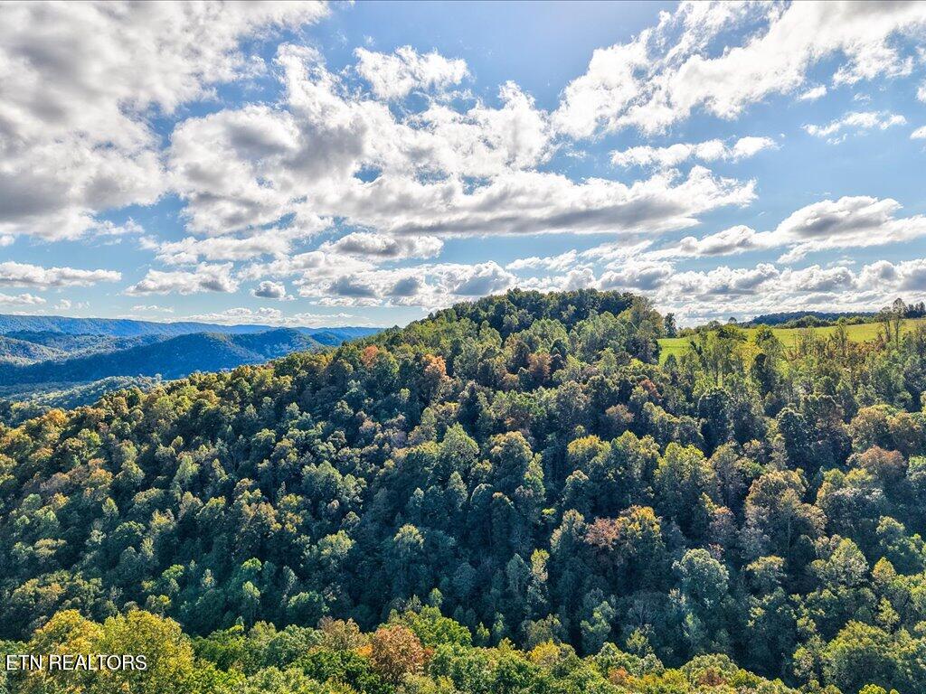 0 Claude Bolden Lane Tazewell TN 37879