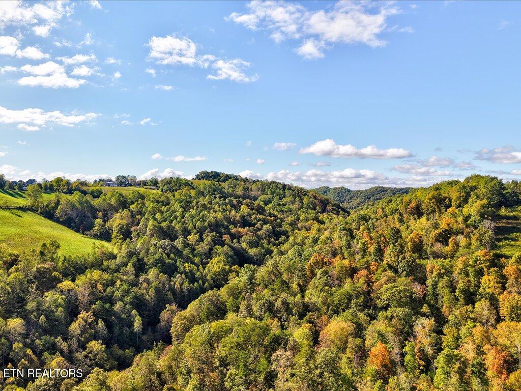 0 Claude Bolden Lane Tazewell TN 37879