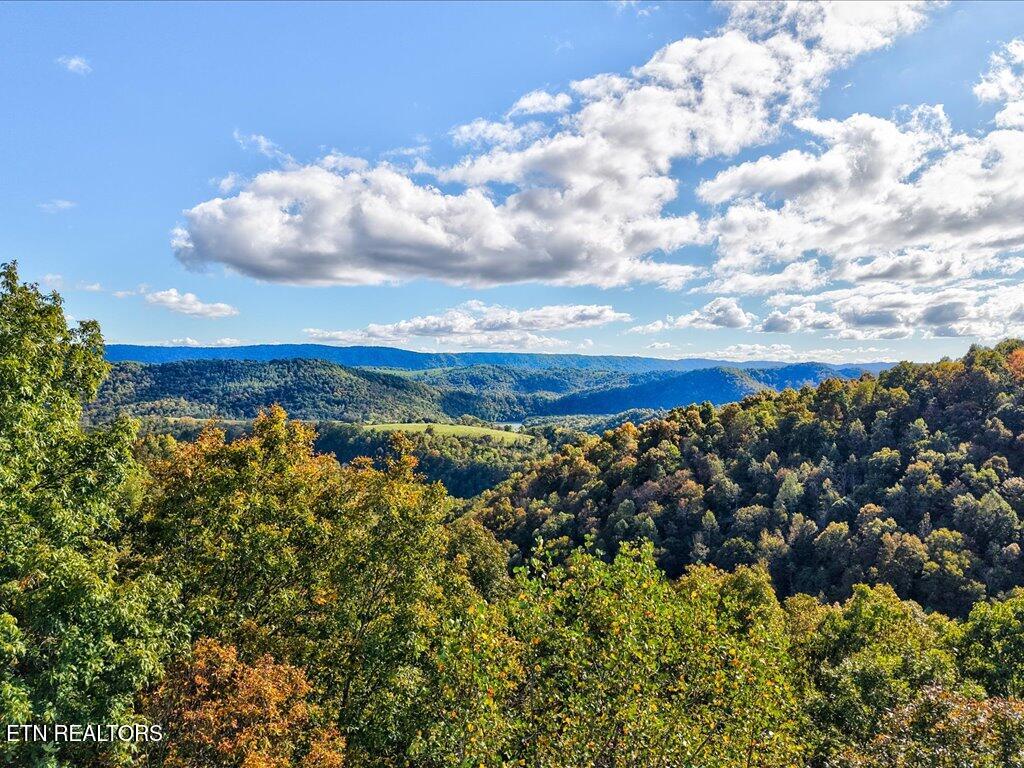 0 Claude Bolden Lane Tazewell TN 37879