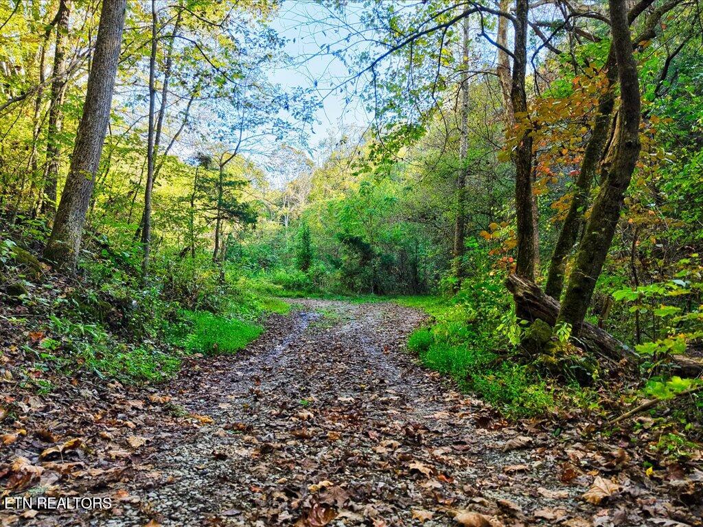 0 Claude Bolden Lane Tazewell TN 37879
