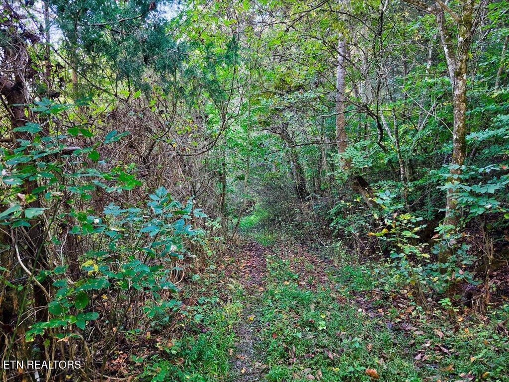 0 Claude Bolden Lane Tazewell TN 37879