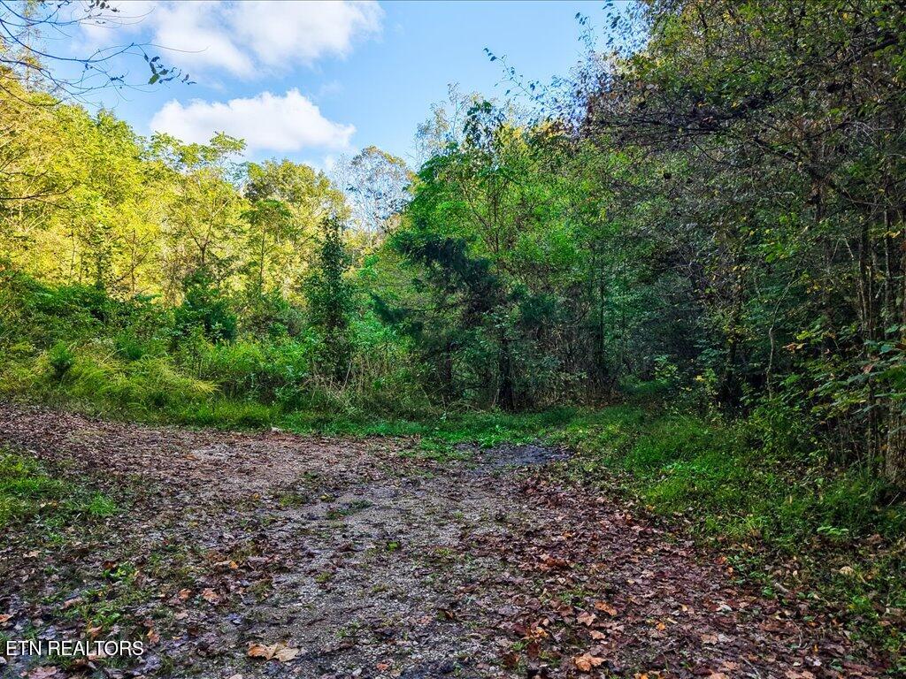 0 Claude Bolden Lane Tazewell TN 37879