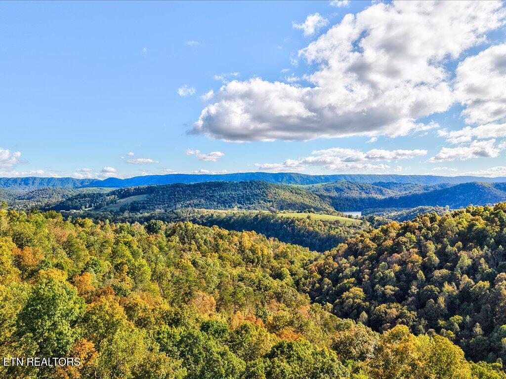 0 Claude Bolden Lane Tazewell TN 37879
