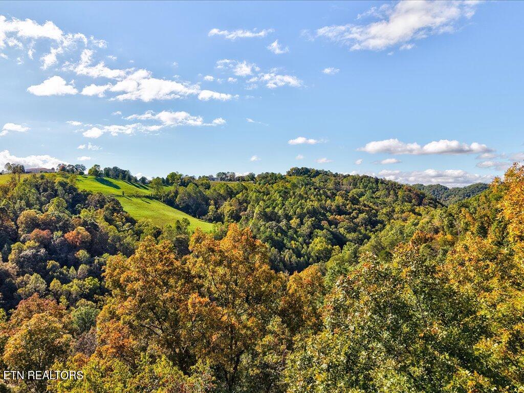 0 Claude Bolden Lane Tazewell TN 37879