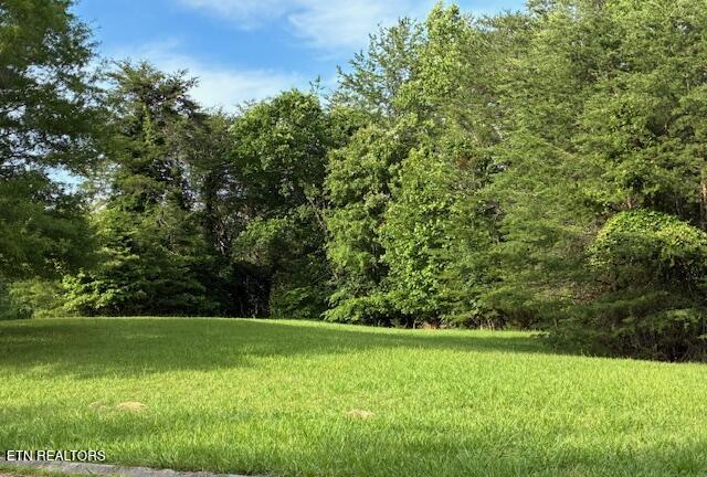 Lot 17 Waterstone Drive Dandridge TN 37725