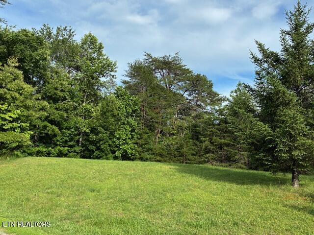 Lot 17 Waterstone Drive Dandridge TN 37725