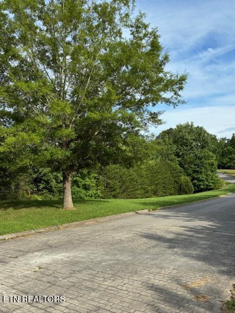 Lot 17 Waterstone Drive Dandridge TN 37725