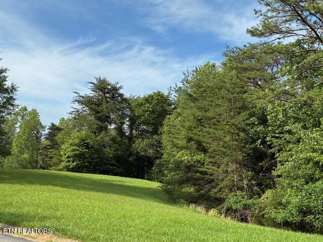 Lot 17 Waterstone Drive Dandridge TN 37725
