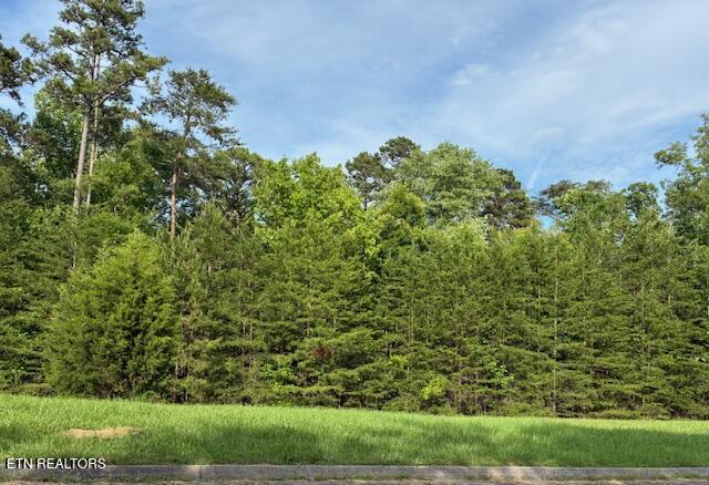 Lot 17 Waterstone Drive Dandridge TN 37725