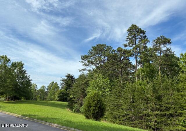 Lot 17 Waterstone Drive Dandridge TN 37725