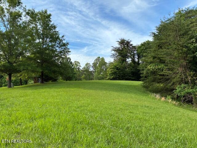 Lot 17 Waterstone Drive Dandridge TN 37725