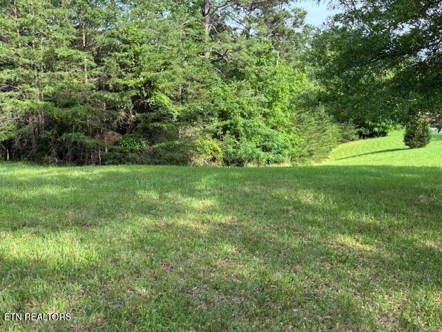 Lot 17 Waterstone Drive Dandridge TN 37725
