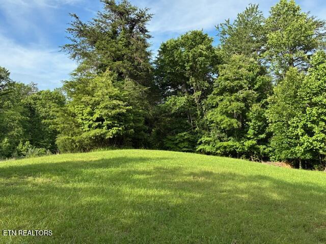 Lot 17 Waterstone Drive Dandridge TN 37725