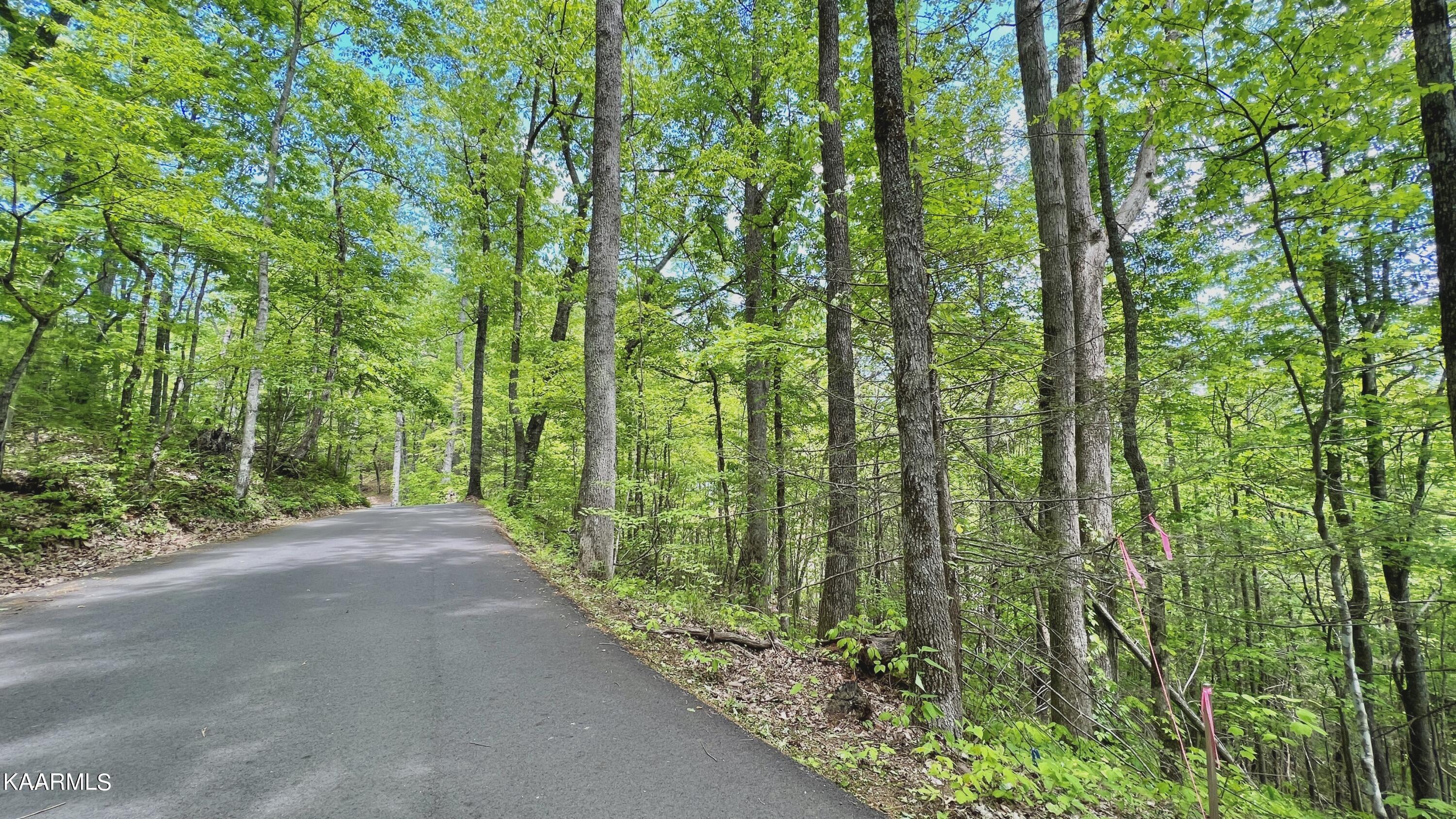 Grassy Branch Loop Sevierville TN 37876