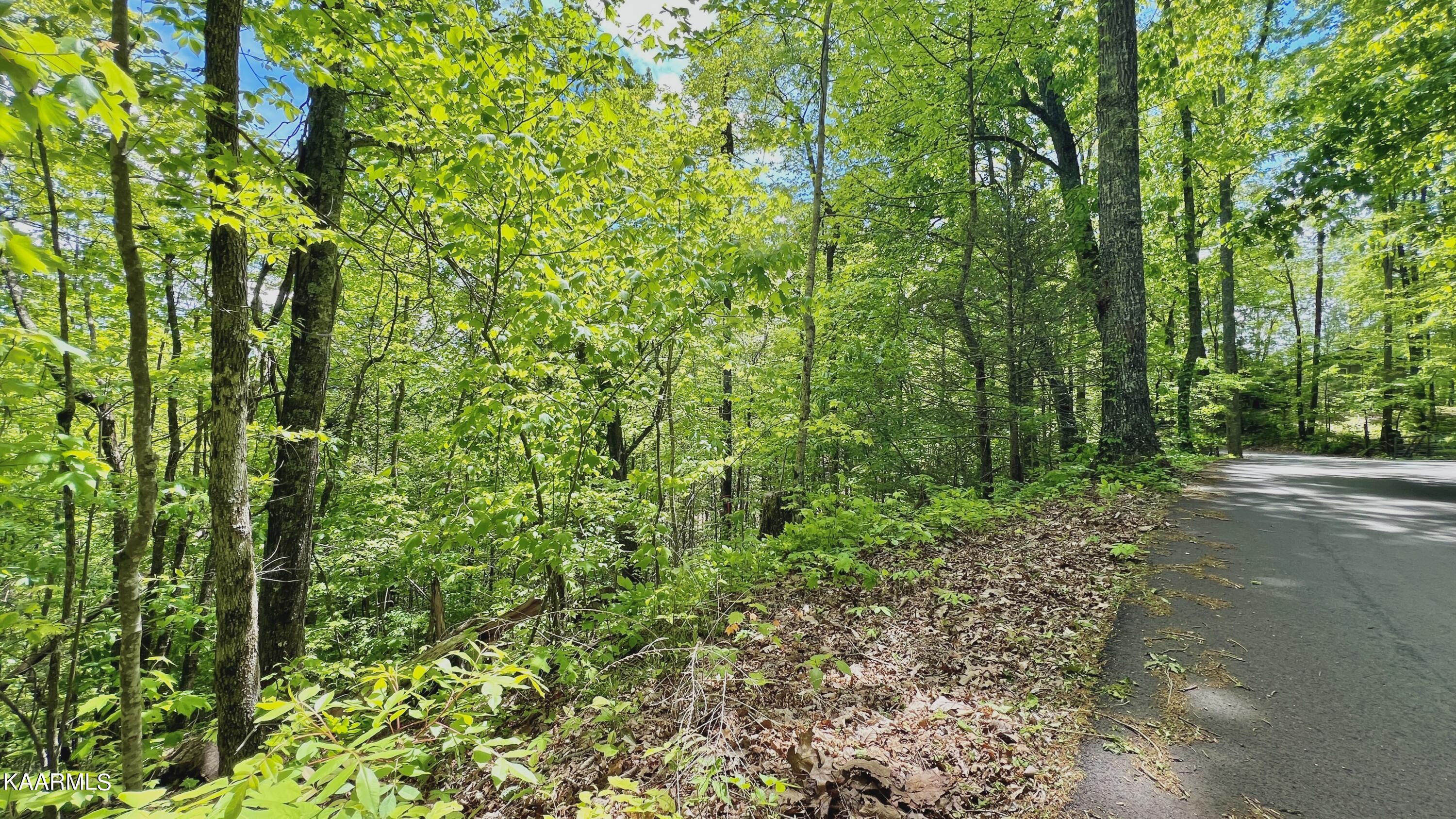 Grassy Branch Loop Sevierville TN 37876