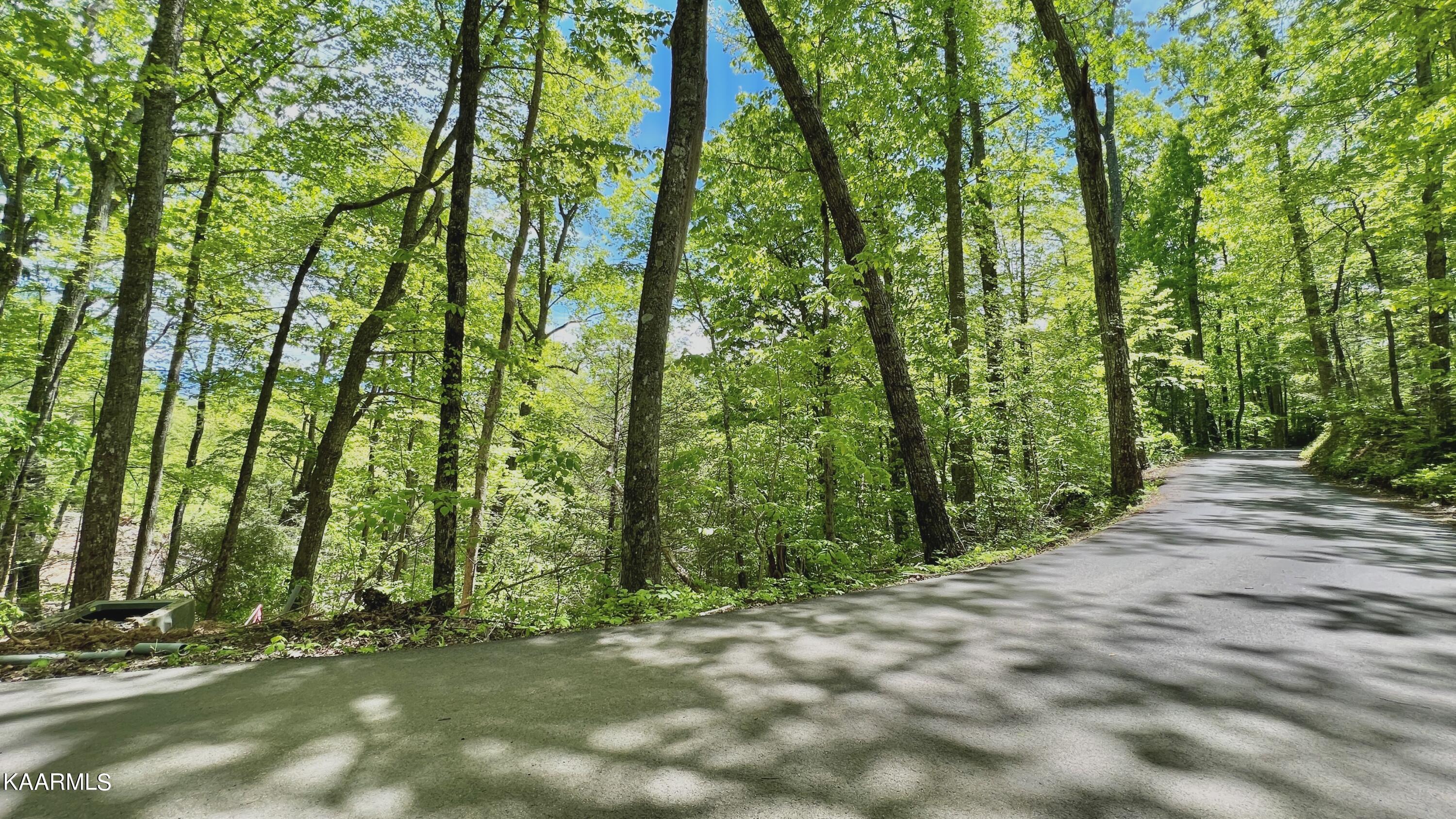 Grassy Branch Loop Sevierville TN 37876