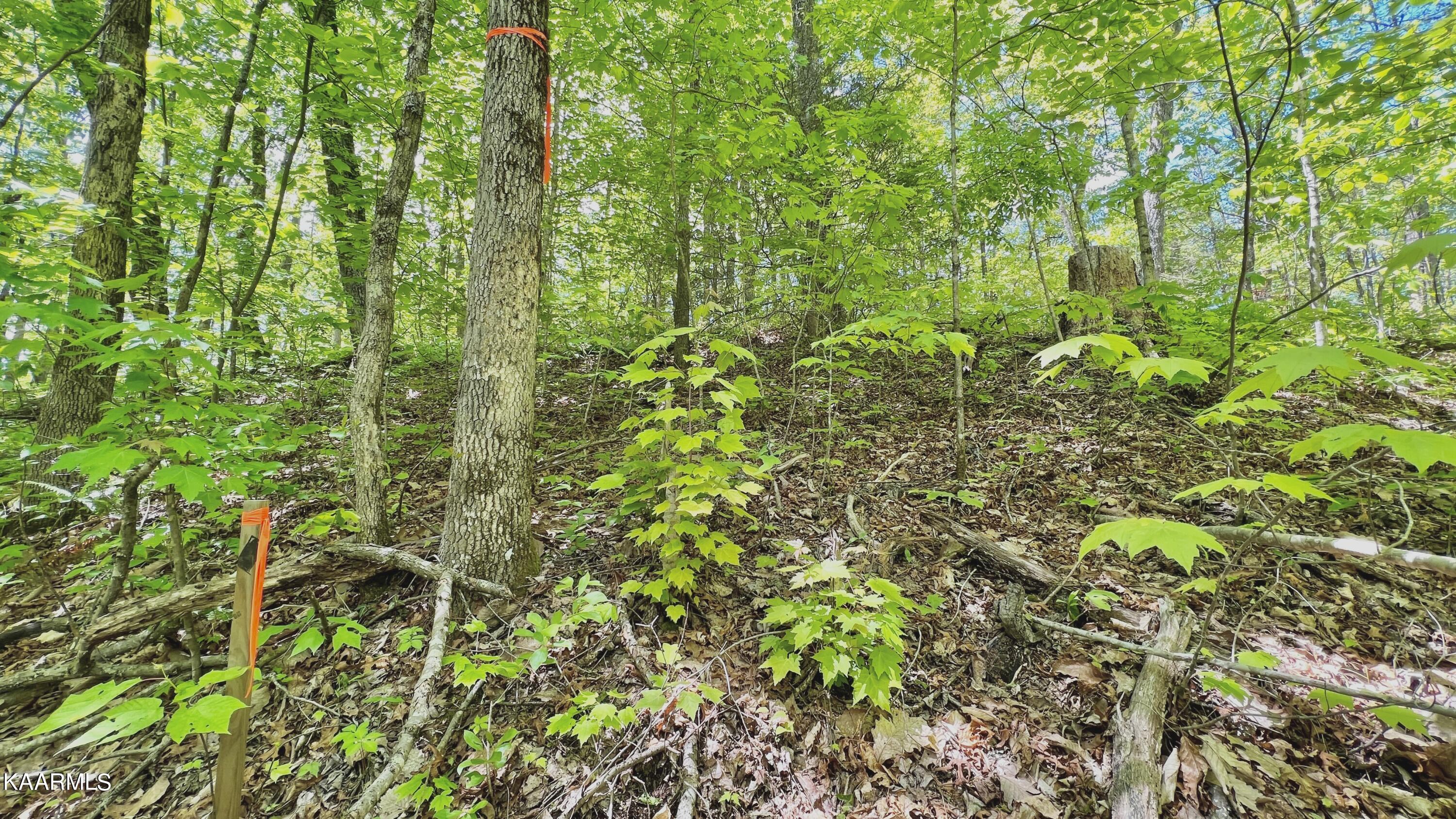 Grassy Branch Loop Sevierville TN 37876