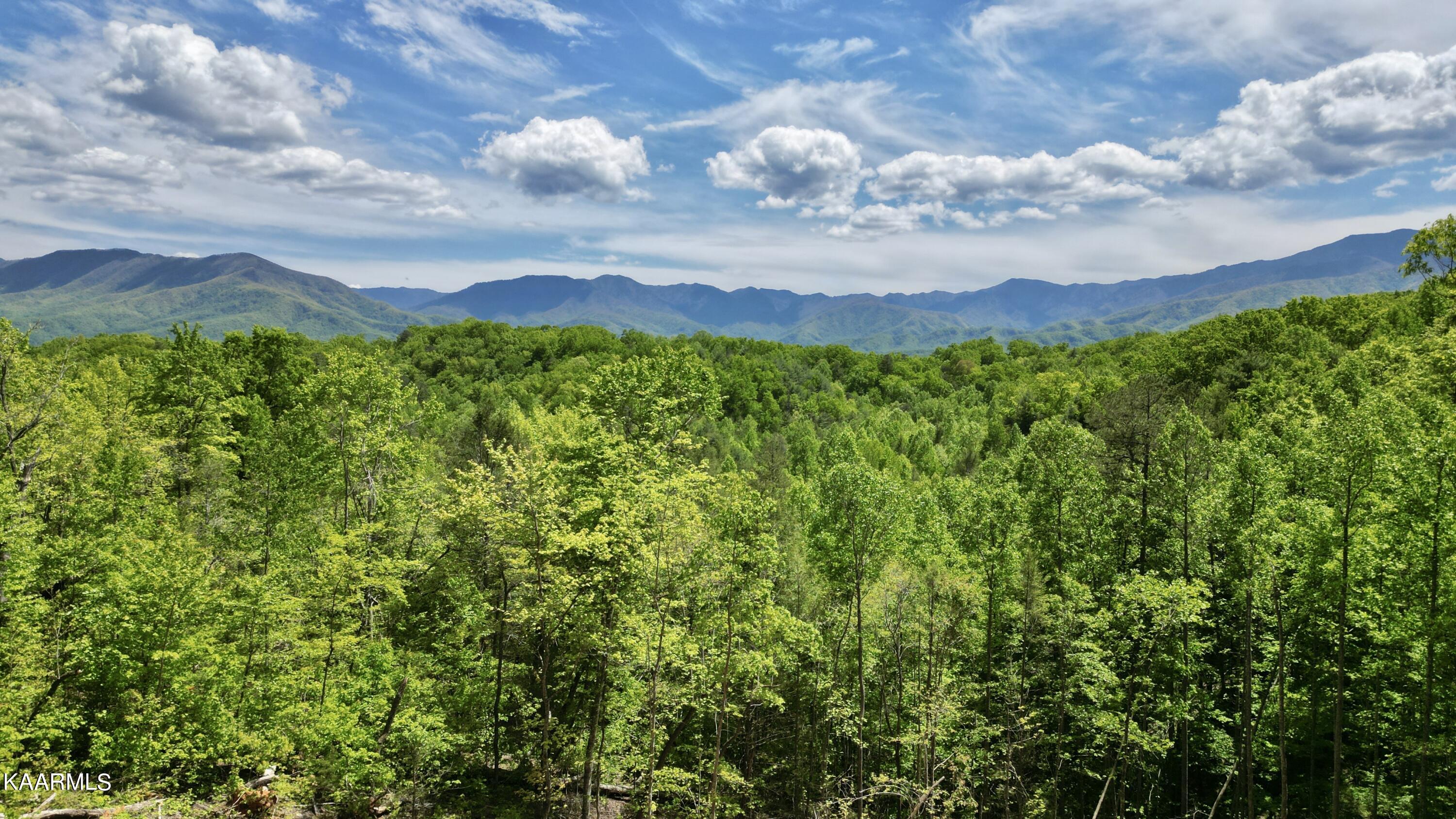 Grassy Branch Loop Sevierville TN 37876