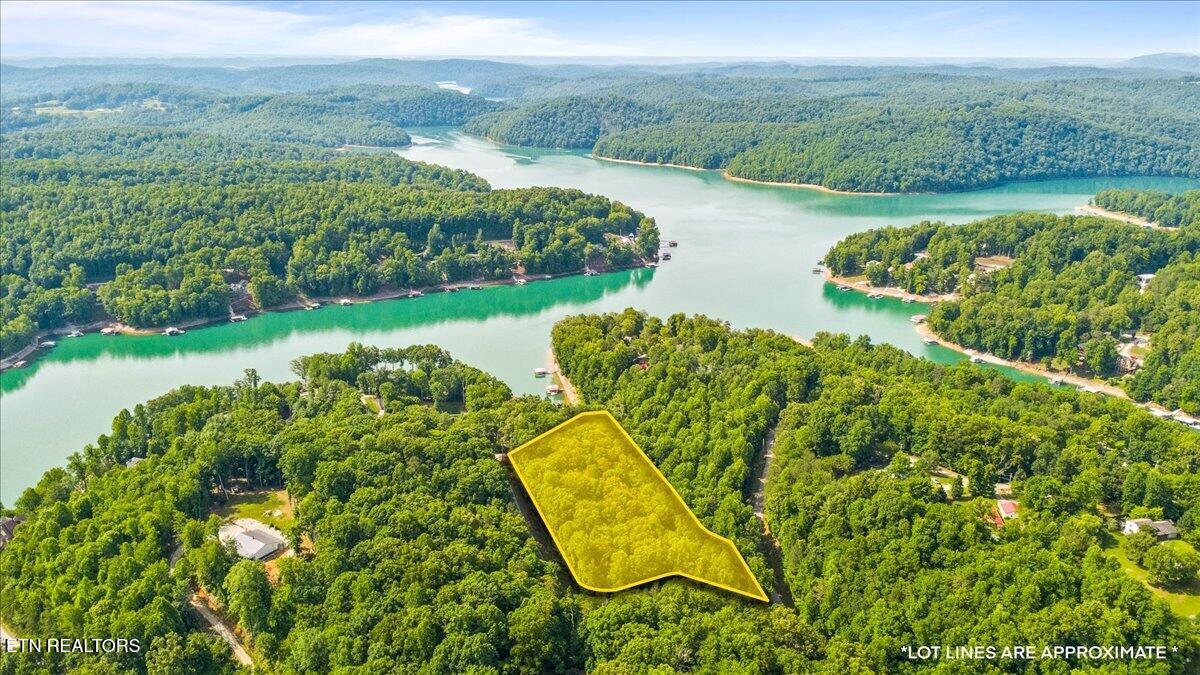 Big Creek Road Lafollette TN 37766