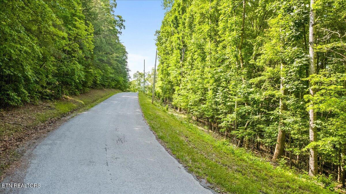 Big Creek Road Lafollette TN 37766
