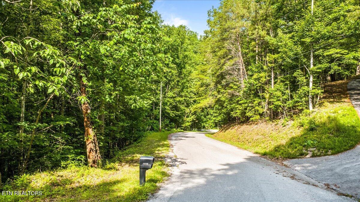 Big Creek Road Lafollette TN 37766