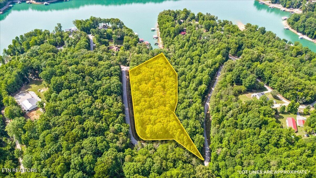 Big Creek Road Lafollette TN 37766