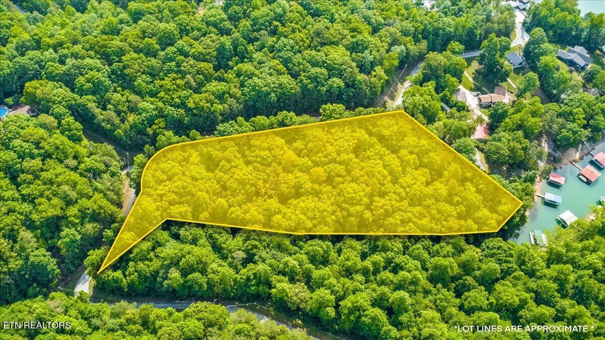 Big Creek Road Lafollette TN 37766