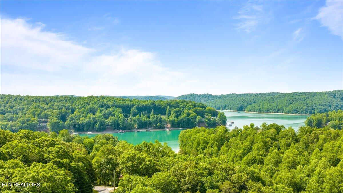 Big Creek Road Lafollette TN 37766