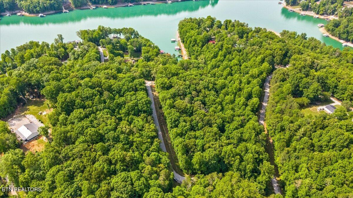 Big Creek Road Lafollette TN 37766