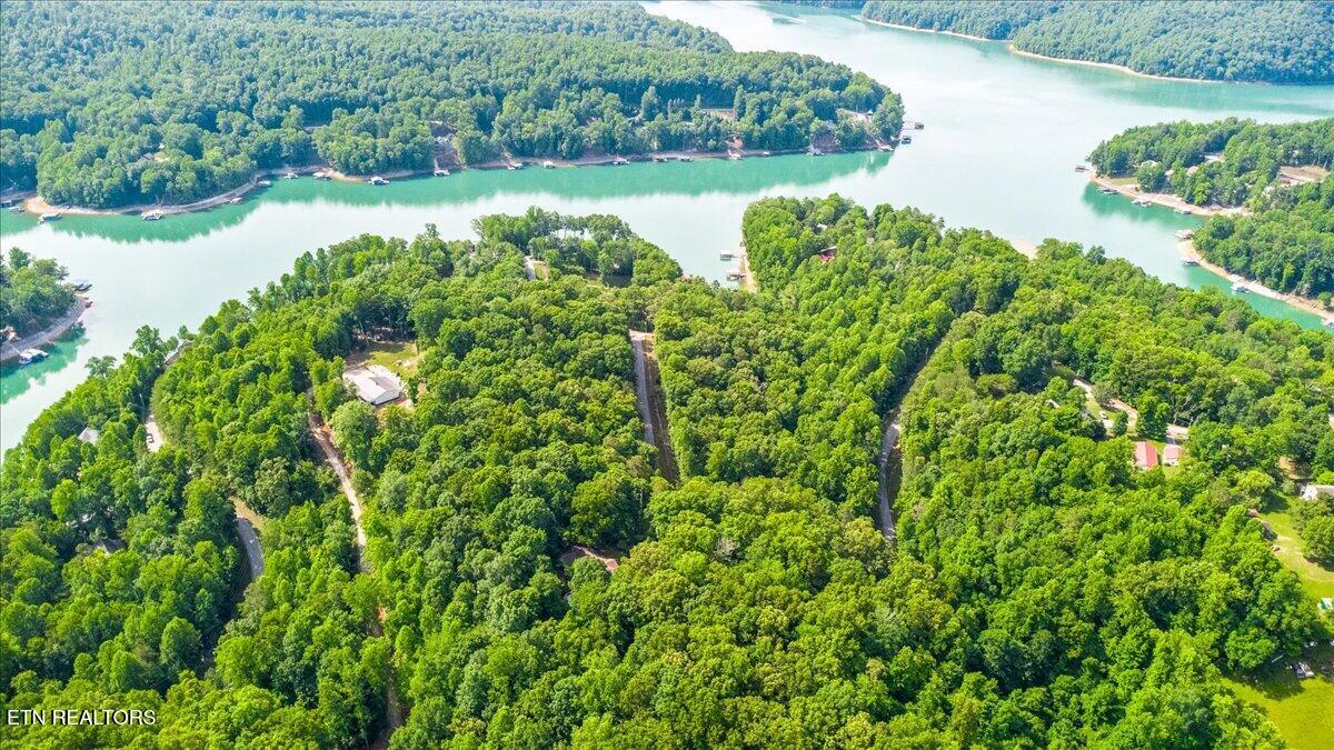 Big Creek Road Lafollette TN 37766
