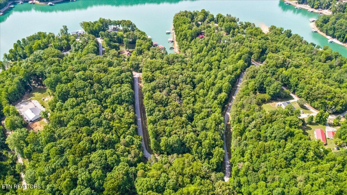 Big Creek Road Lafollette TN 37766