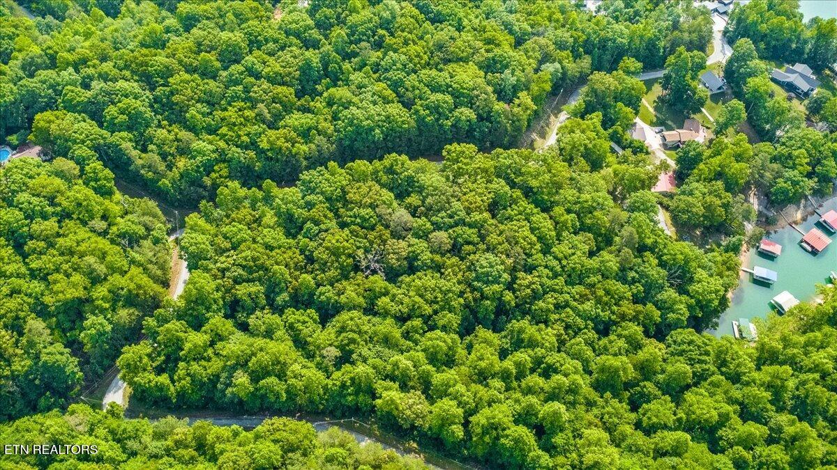 Big Creek Road Lafollette TN 37766