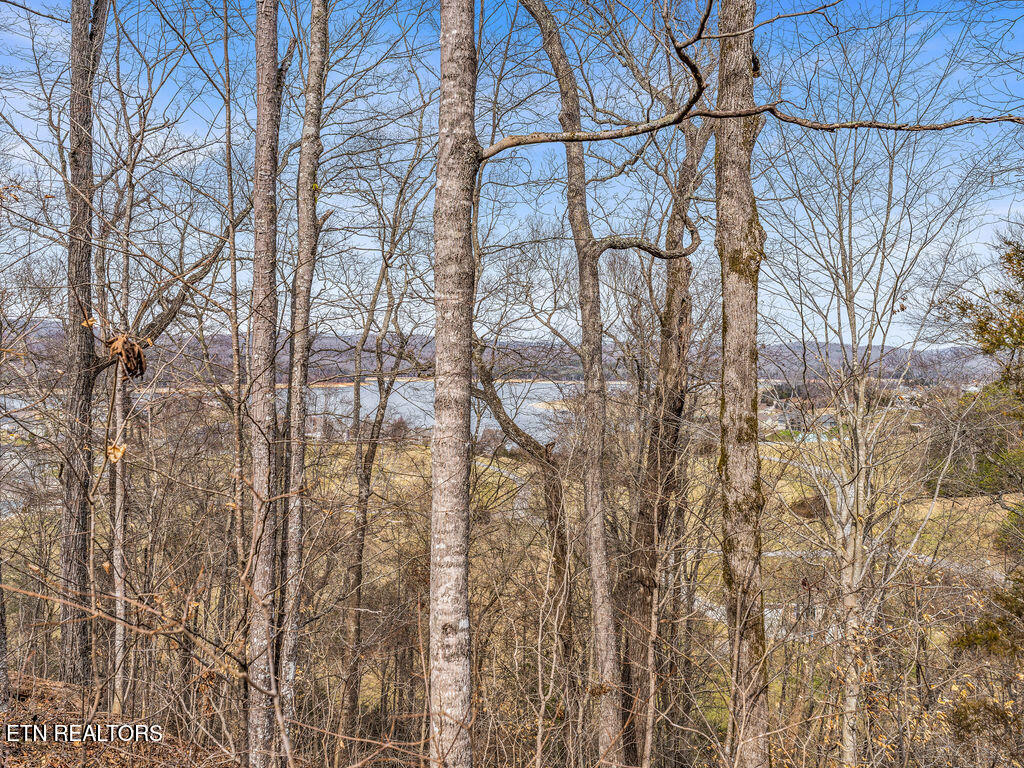 Russell Brothers Road Sharps Chapel TN 37866
