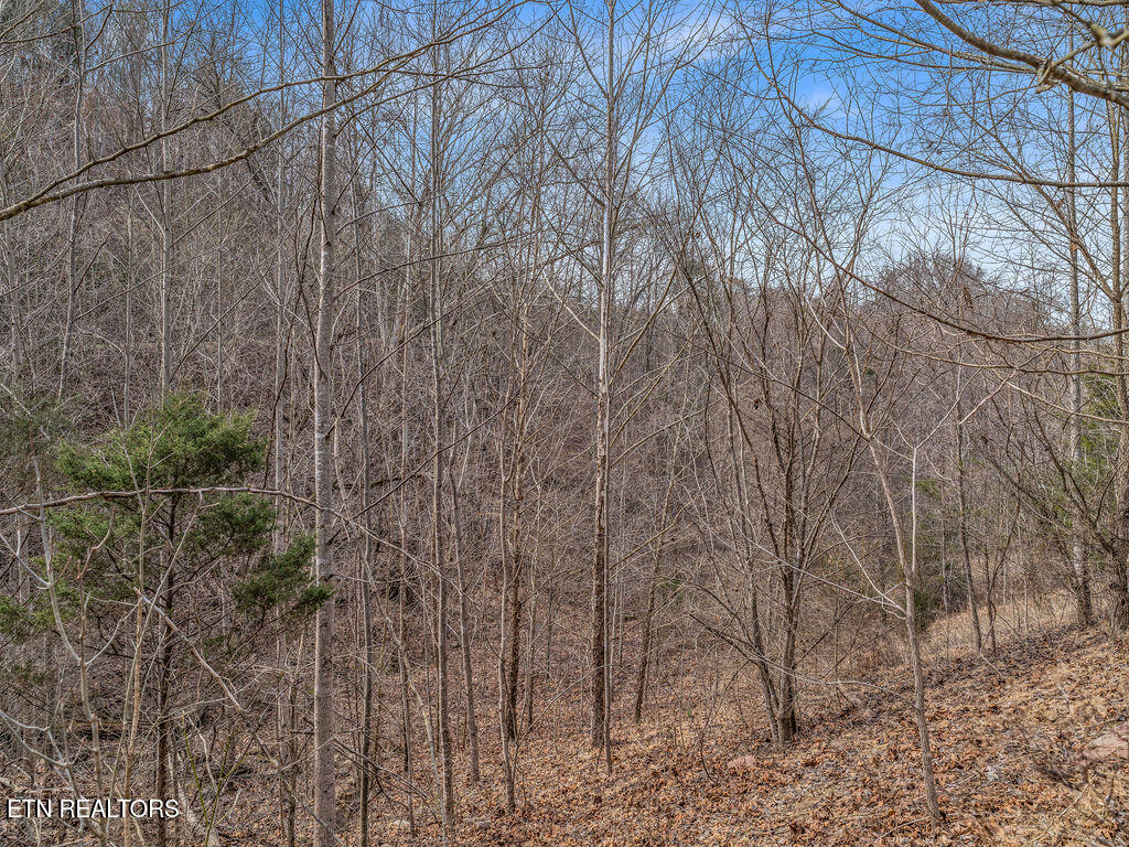 Russell Brothers Road Sharps Chapel TN 37866