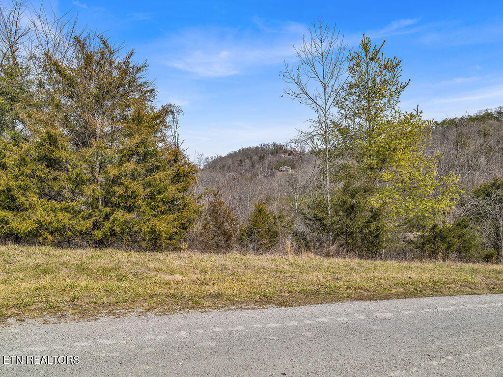 Russell Brothers Road Sharps Chapel TN 37866