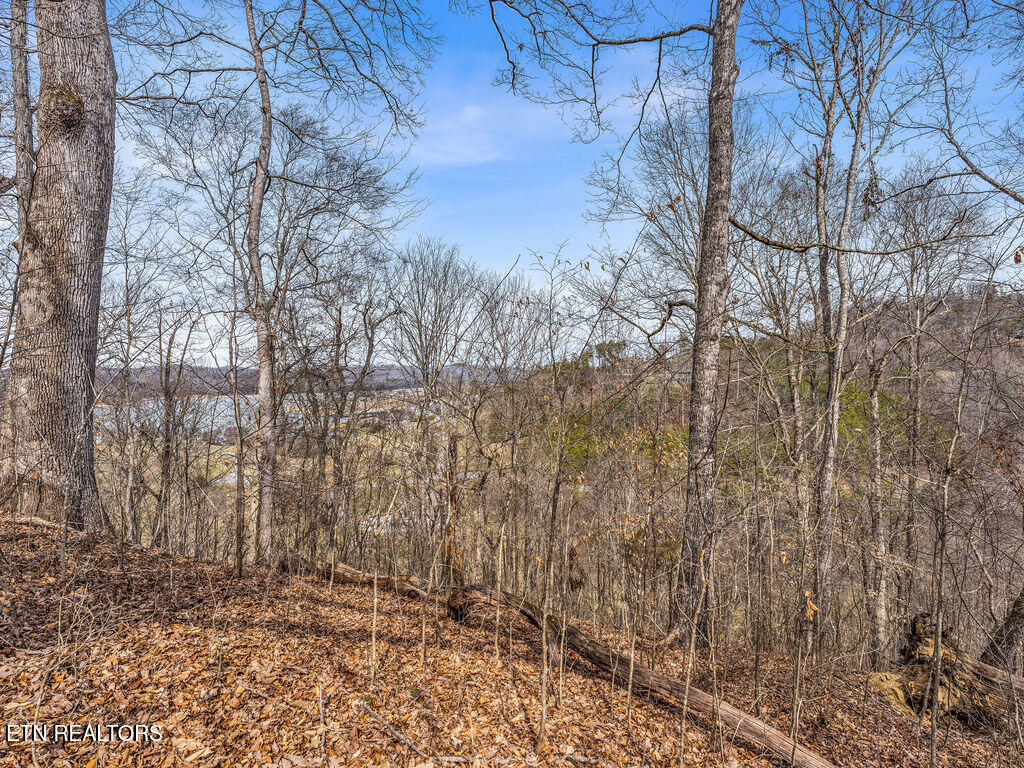 Russell Brothers Road Sharps Chapel TN 37866
