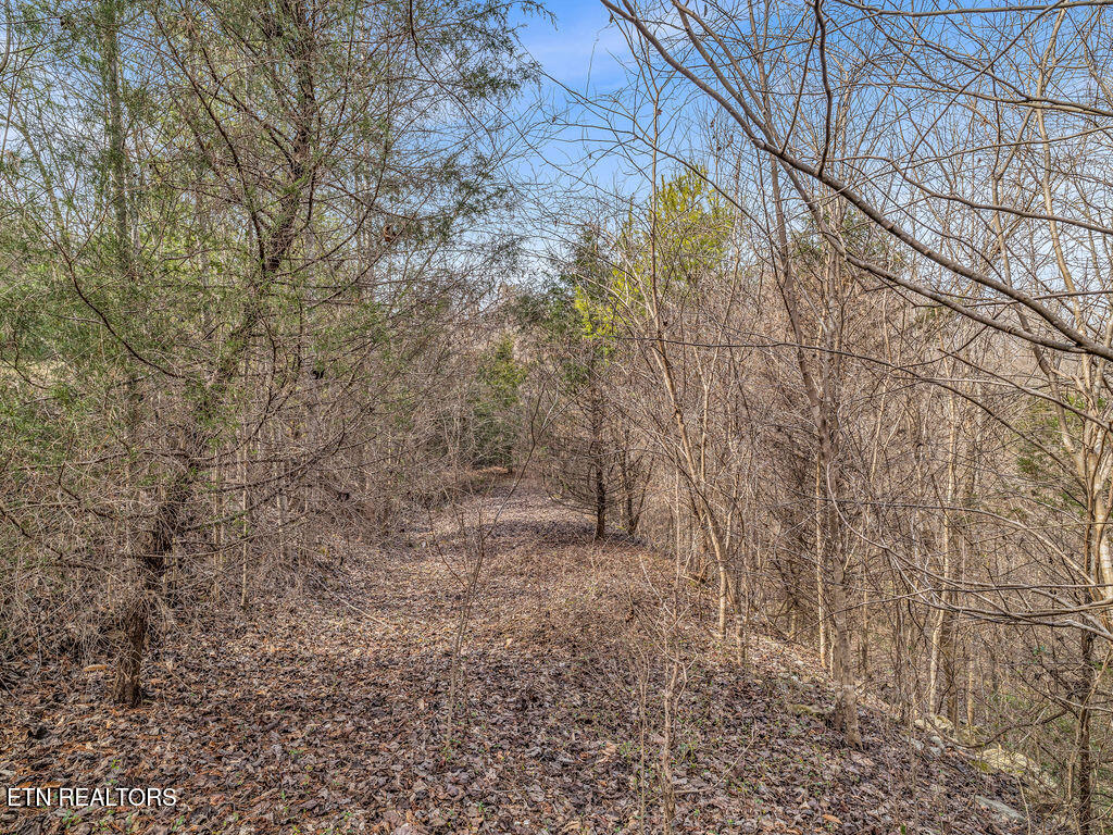 Russell Brothers Road Sharps Chapel TN 37866