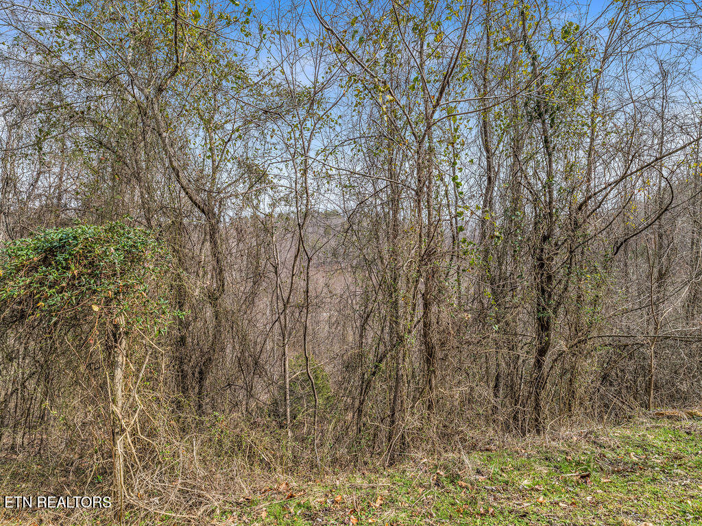 Russell Brothers Road Sharps Chapel TN 37866