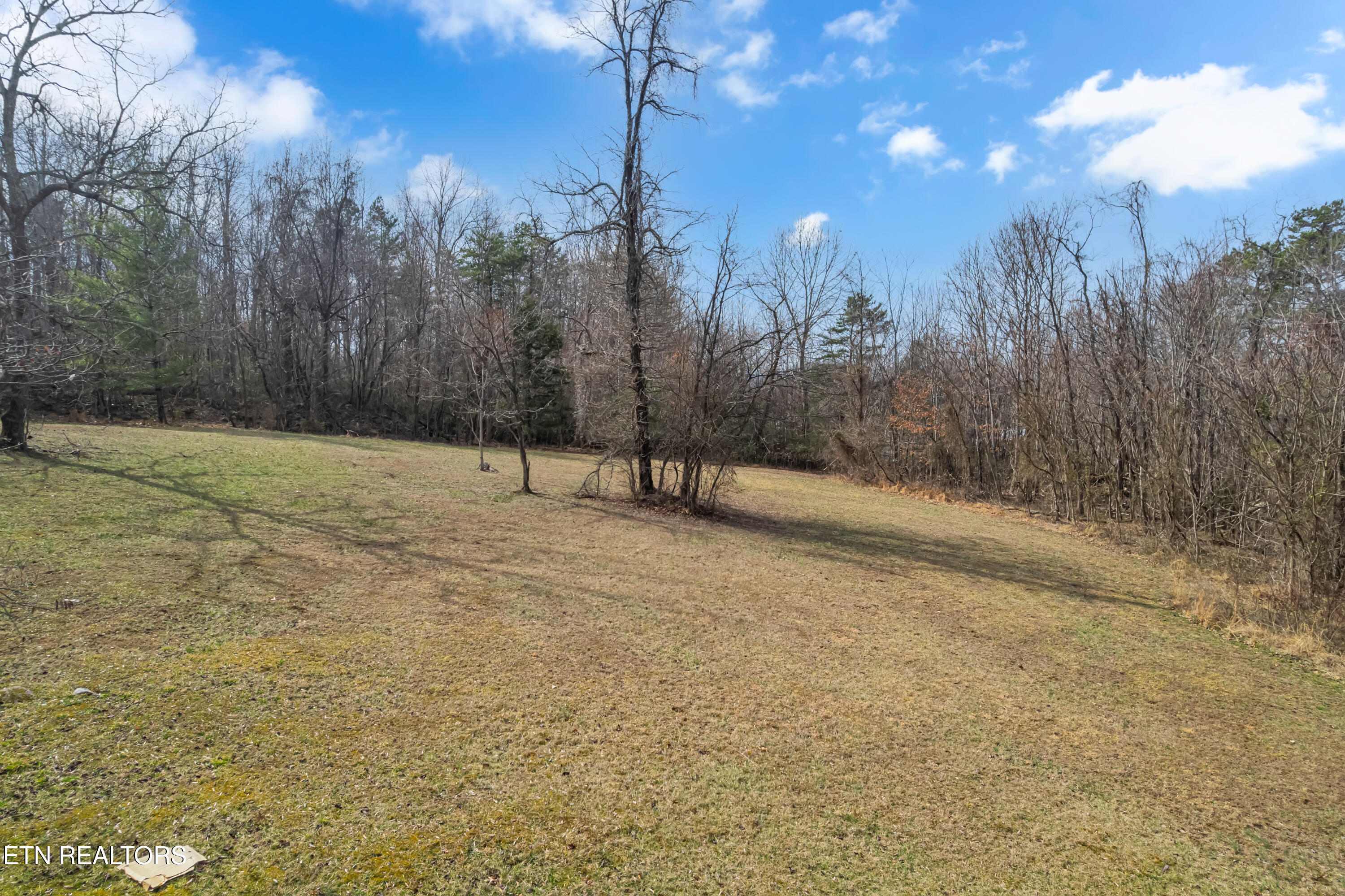 Collier Loop Dandridge TN 37725