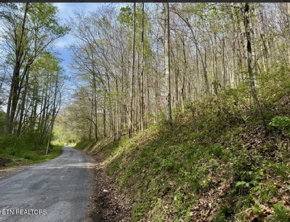 Lay Hollow Road Sharps Chapel TN 37866