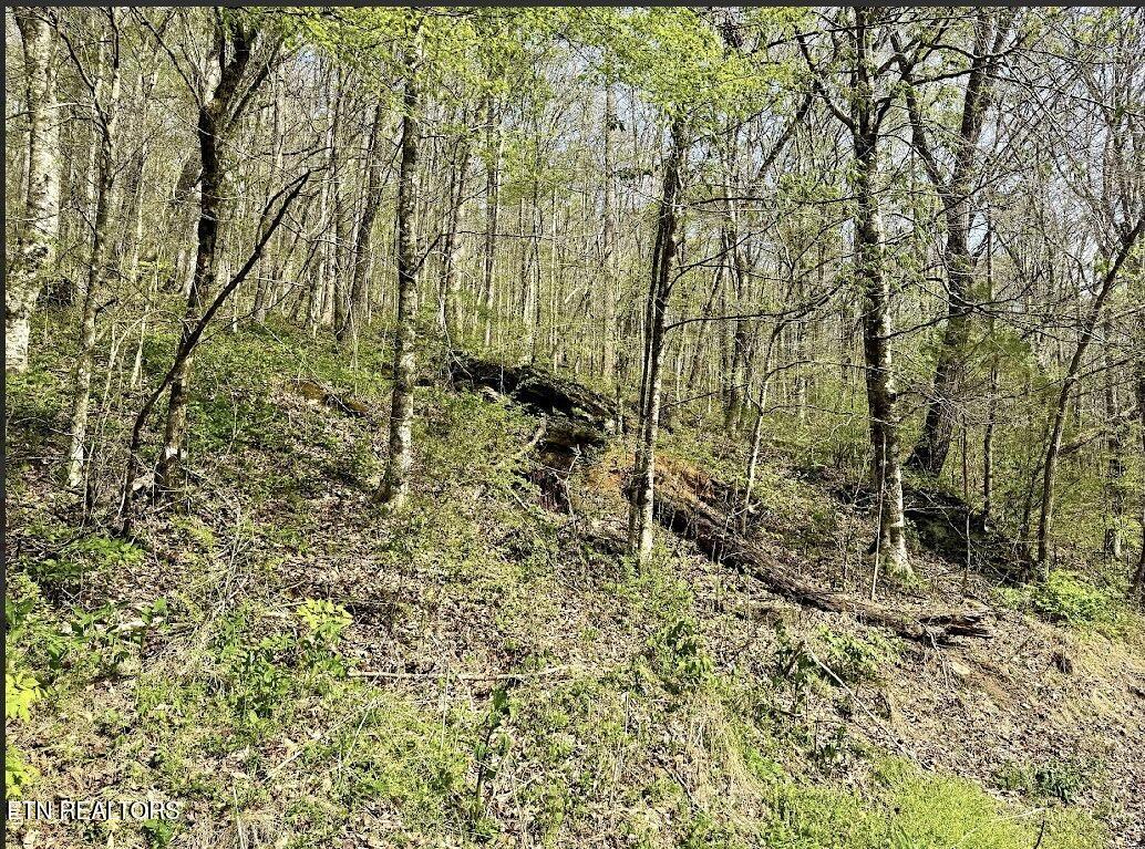 Lay Hollow Road Sharps Chapel TN 37866