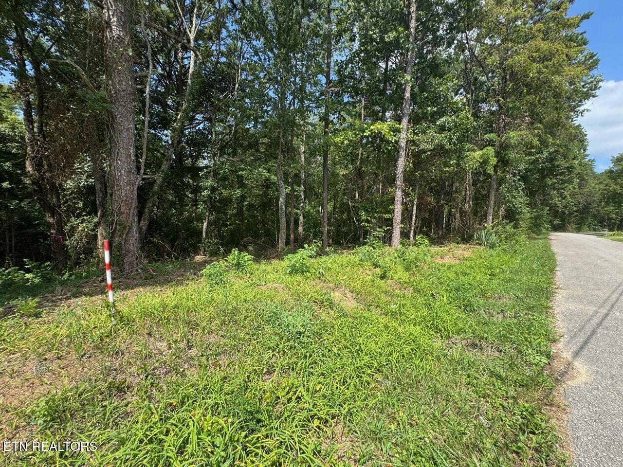 Old Wolf River Road Jamestown TN 38556
