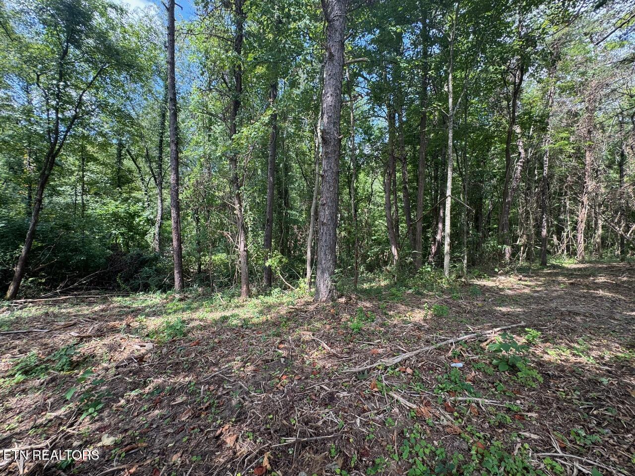 Old Wolf River Road Jamestown TN 38556