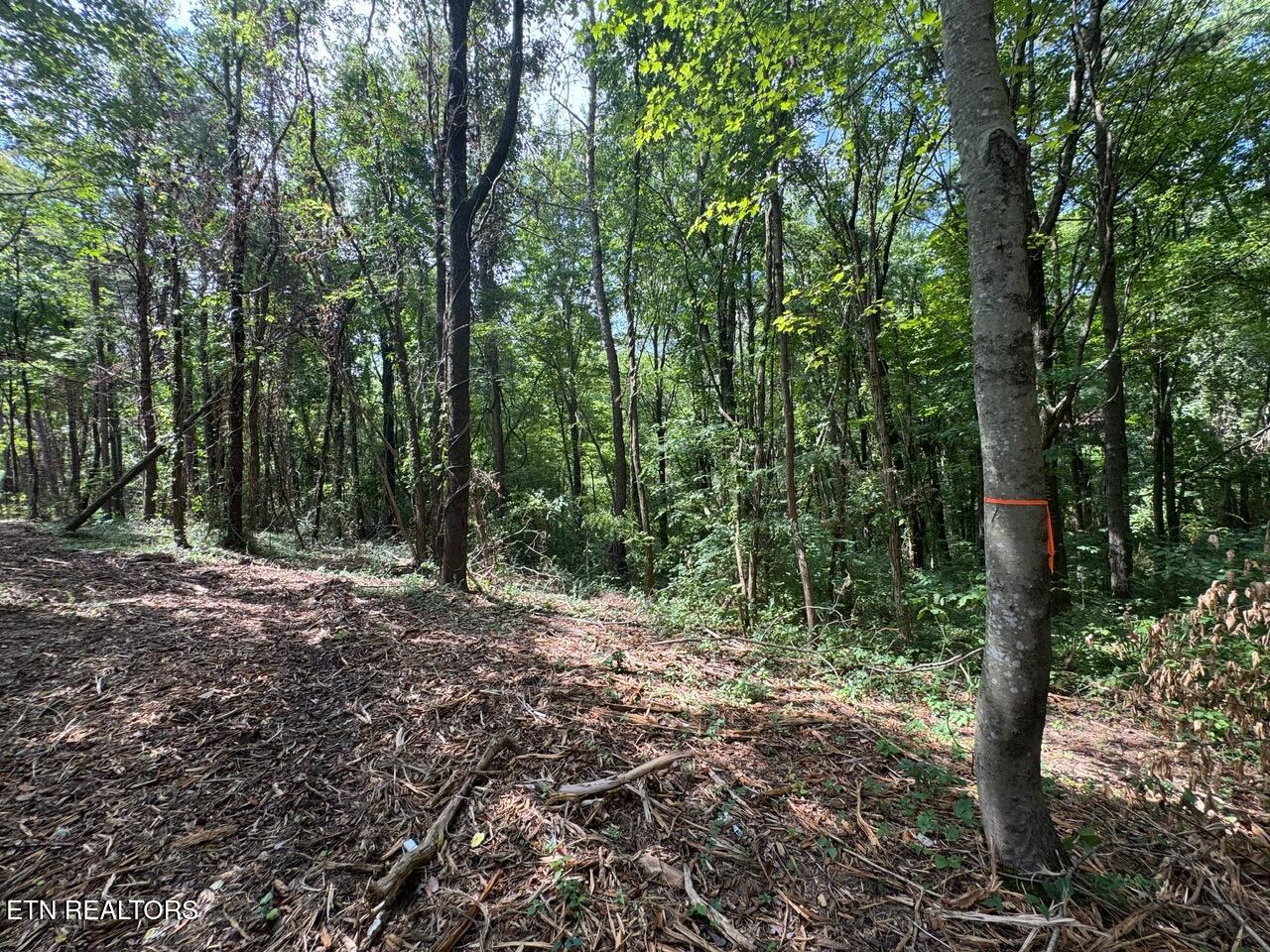 Old Wolf River Road Jamestown TN 38556