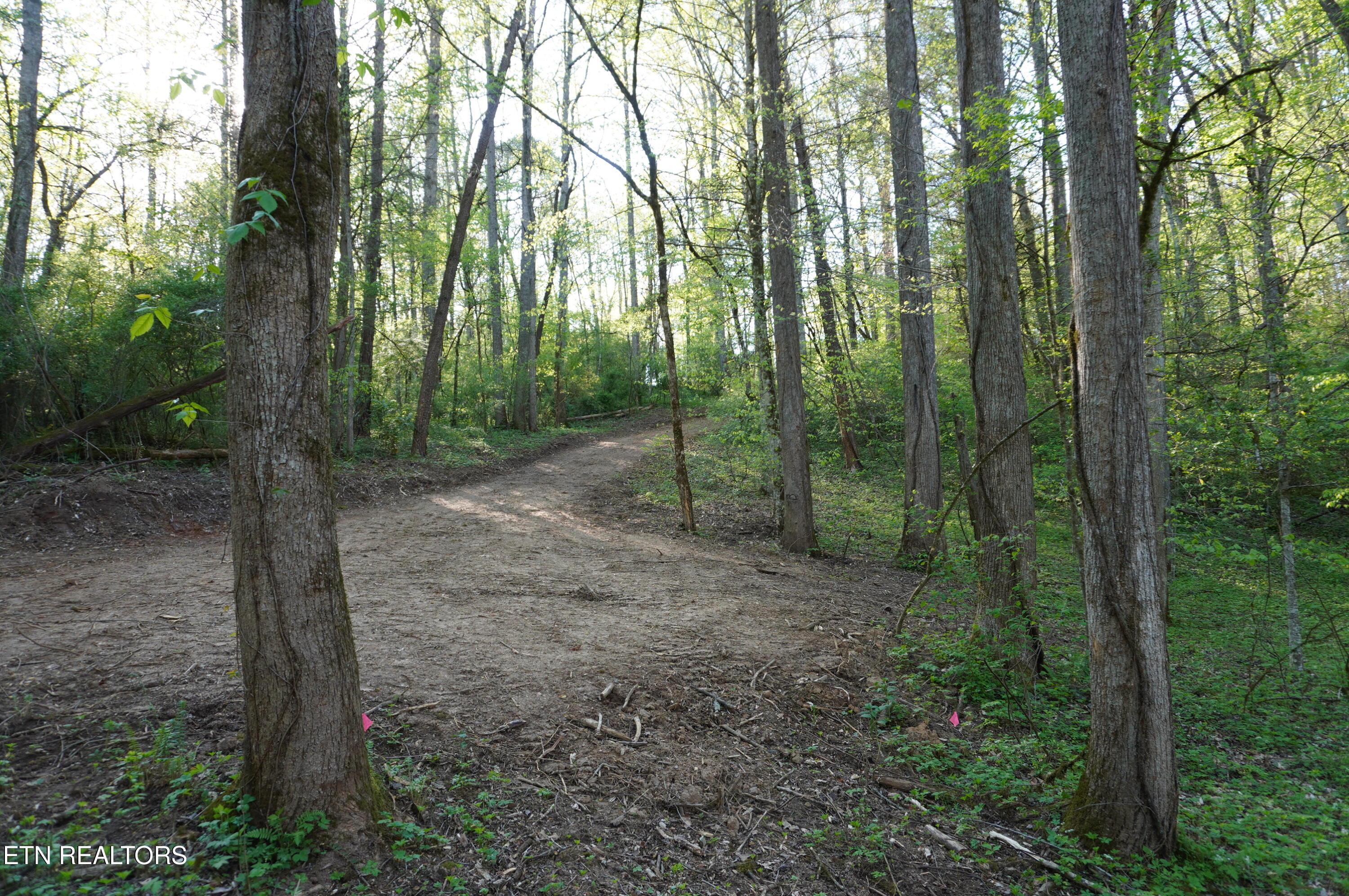 Lots 1-2 Golf Course Road Newport TN 37821