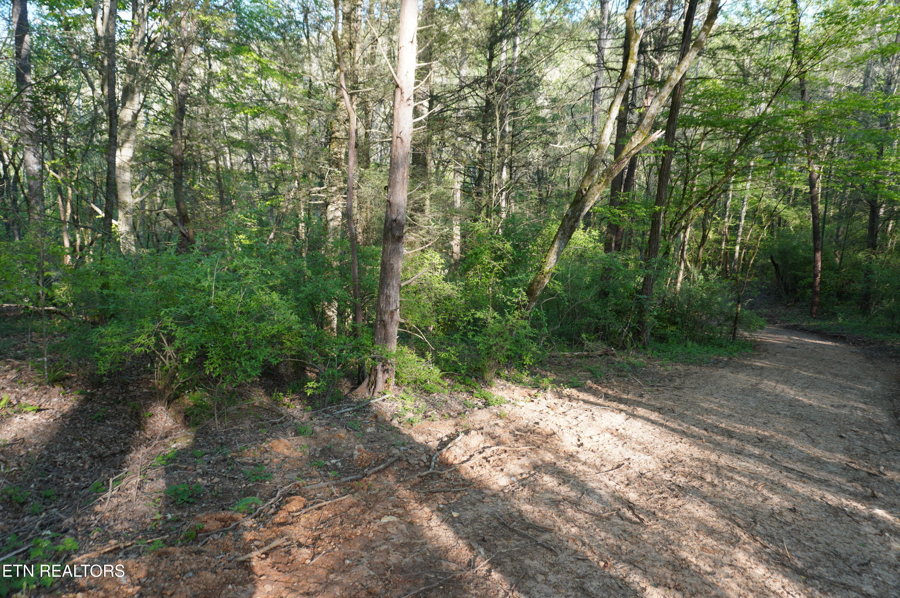 Lots 1-2 Golf Course Road Newport TN 37821
