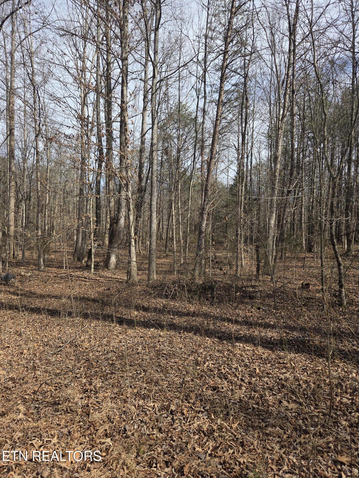 County Road 660 Athens TN 37303