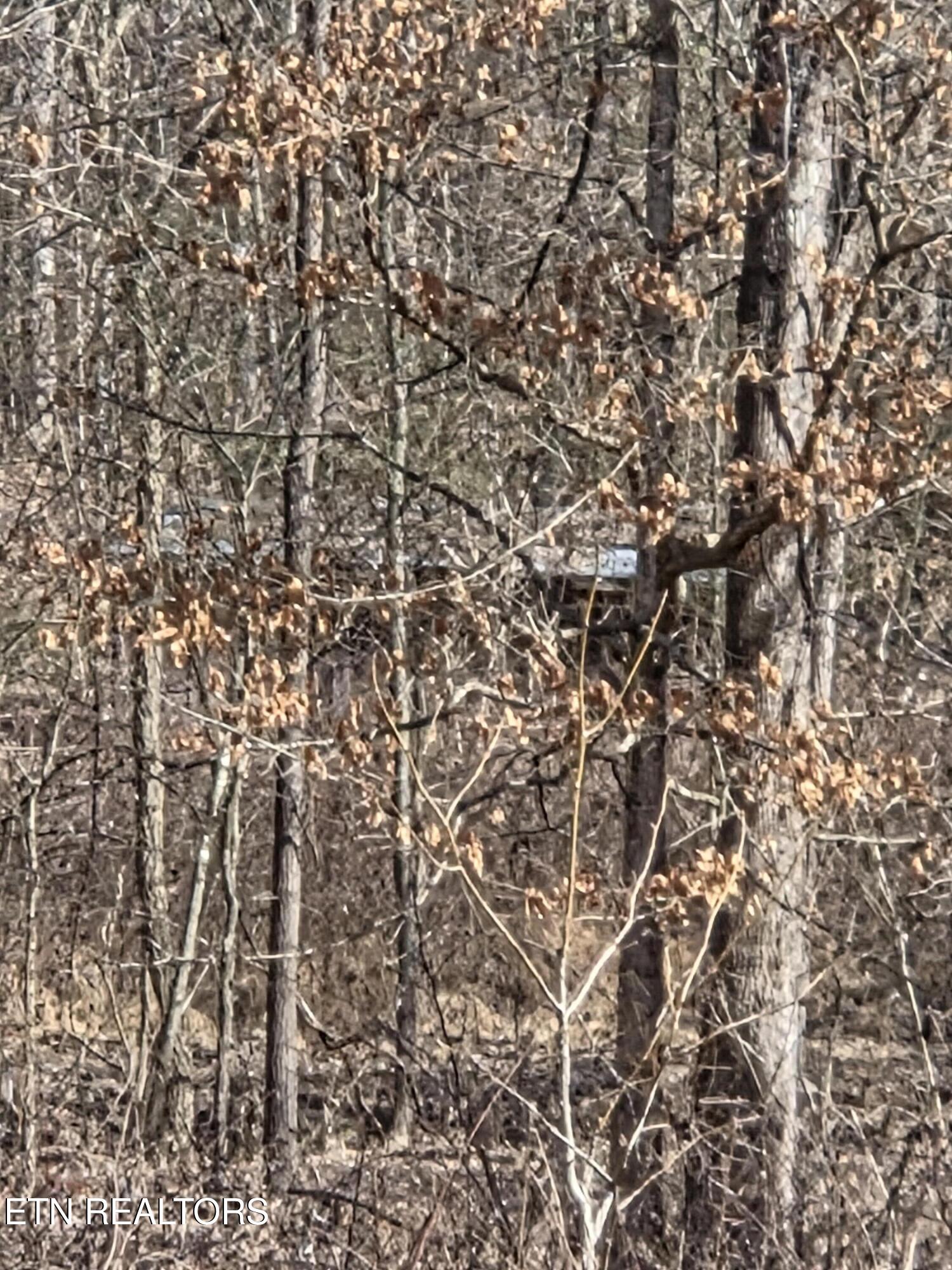County Road 660 Athens TN 37303