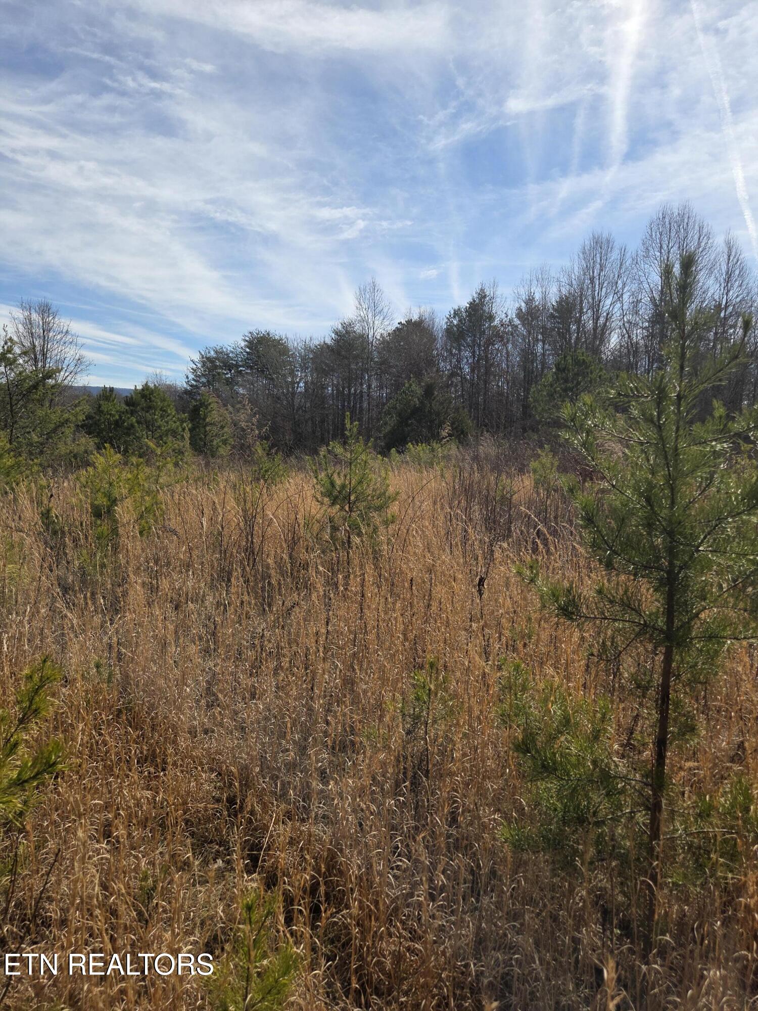 County Road 660 Athens TN 37303