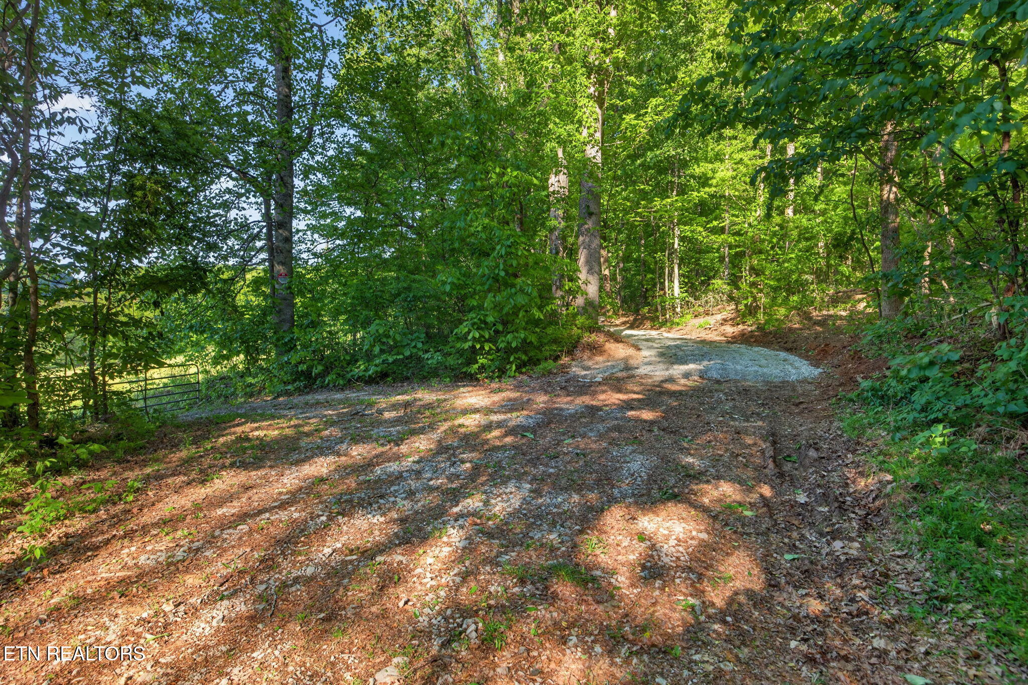 23 Acres Moore Cove Road Sparta TN 38583